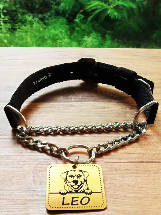 Dog Collar Chain Belt with Name tag id Customized for Large Medium Dogs and Small Puppies Neck Collar Chain