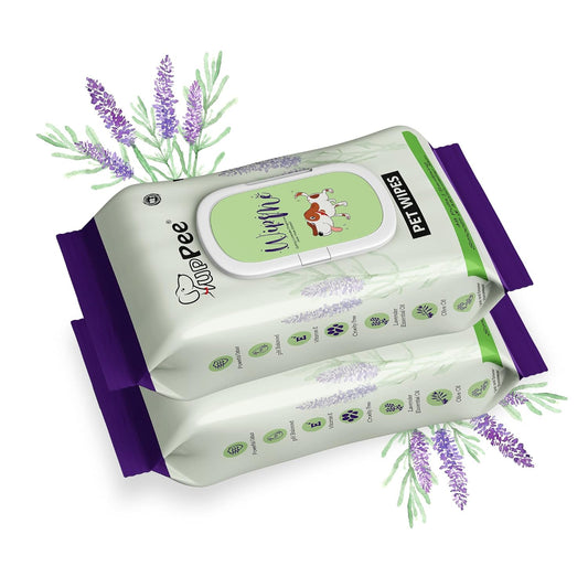 PUPPEE Wipe ME 100% Biodegradable 96 Count (Pack of 2)