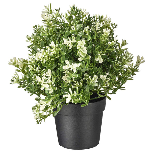 PAPERI Artificial Thyme Plant for Home Décor – Living Room Decoration Items, Office Desk Show Pieces, Fake Plant for Bathroom Decorations, Indoor Decorative Plastic Green Leaves with Pot for Table